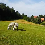 Lambievi Kolibi * Khakhn'ovo