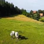 Lambievi Kolibi Khakhn'ovo