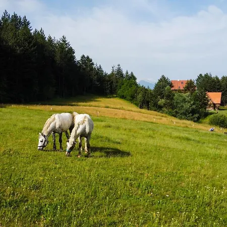 Lambievi Kolibi * Gorno Kraiste
