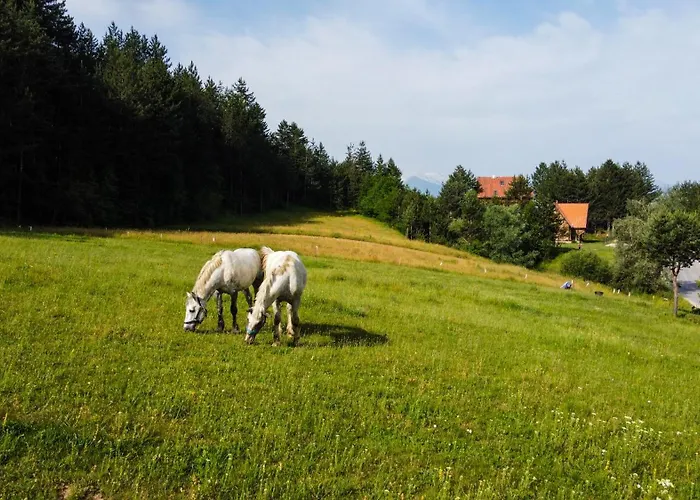 Lambievi Kolibi * Khakhn'ovo
