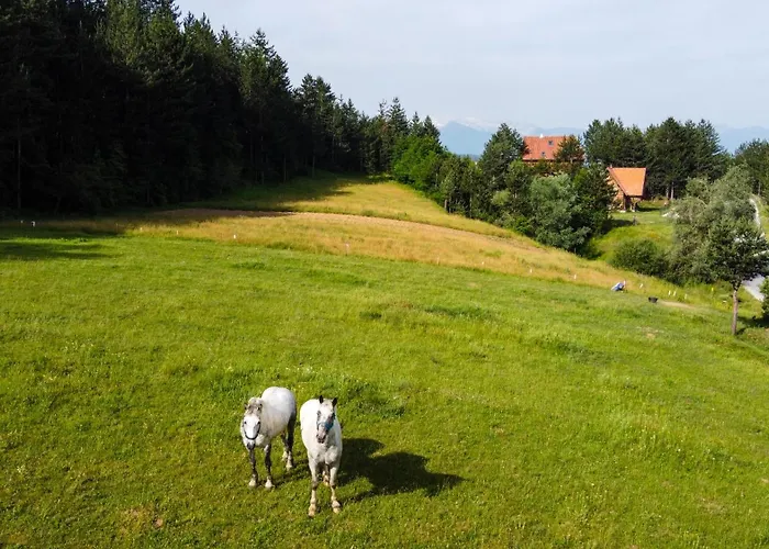 Lambievi Kolibi Khakhn'ovo